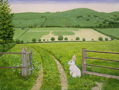 Spring Rabbit