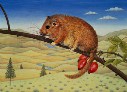 Dormouse Number Two, 1994