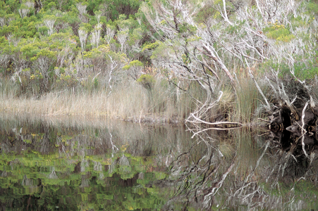 Loch Maree II (photo)