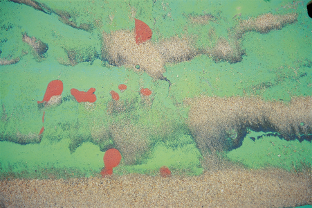 Paint on wood with sand (photo)