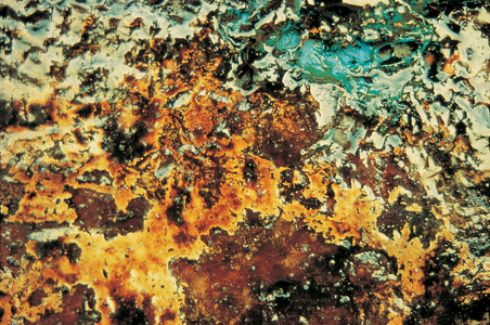 Paint on wood (photo)