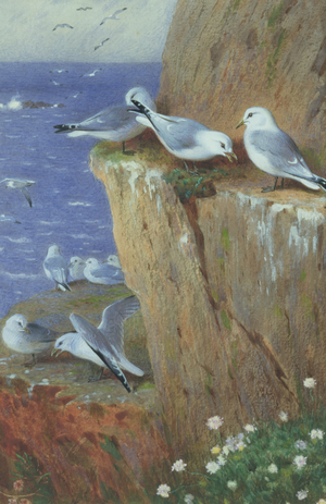 Seagulls (w/c on paper)