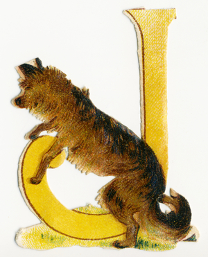 J Jackal -  image of animals in decoupi, end of 19th century (chromolithograph)