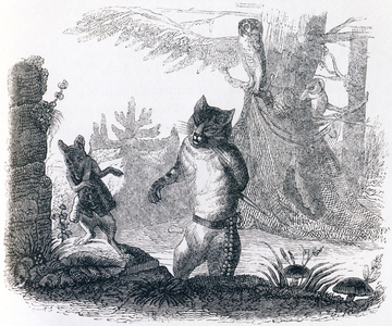 The cat and the rat (Le chat et le rat) - Fables by La Fontaine, 19th century (engraving)