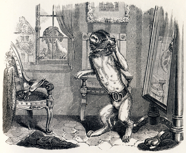 The dog with the cut ears (Le chien a qui on a coupe les oreilles) - Fables by La Fontaine, 19th century (engraving)