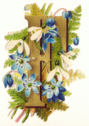 F : Fougere, perce neige et hellebore -  Flowers and Landscapes Alphabet in "decoupis", end of 19th century (chromolithograph)