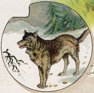 A wolf in the snow. Engraving in "ABC L'alphabet des bebes". Unbreakable volume on canvas in chromolithography. A. Capendu, editor, Paris. Early 20th century, around 1905. Imagery of English origin, accompanied by words in French corresponding to each initial letter. 12 pages. Dim: 32x25,5cm