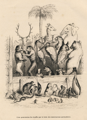 Conversation entre animaux . Vignettes illustrees par JJ Granville . Gravure signee Breviere dans le prologue intitule "Resume parlementaire" ecrit par PJ Stahl in "Scenes de la vie privee et publique des animaux". Paris, J. Hetzel et Paulin, 1842. Etudes de moeurs contemporaines publiees sous la direction de P.-J. Stahl