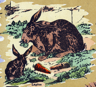 Rabbits and carrots. Illustrated alphabet. Imageries reunited in Jarville-Nancy, beginning of the 20th century. Dim: 40 x 29 cm. Lithography on a bistre background
