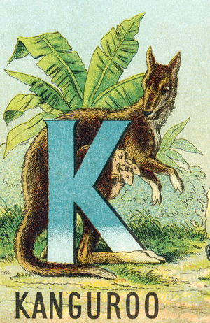 Lettre K : Kanguroo. In "Grand alphabet amusant", 1890 (lithograph)