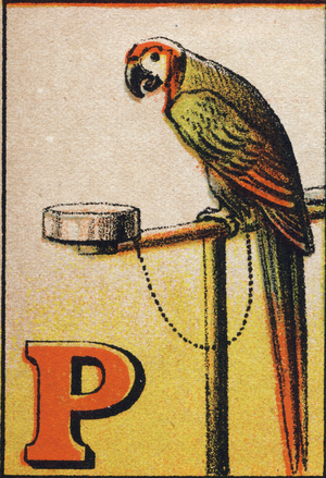 Letter P: parrot. ABC. Franco-German abecedaire. Late chromolithography of the 19th century. Unknown editor. 16 pages. Dim: 17x11,5cm