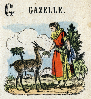 Abecedary. Letter G like Gazelle. Small encyclopedic alphabet, popular series. Epinal imaging, late 19th century