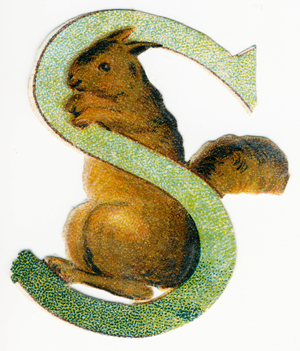 S Squirrel -  image of animals in decoupi, end of 19th century (chromolithograph)