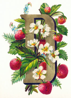 D : Fraisier des bois et myosotis -  Flowers and Landscapes Alphabet in "decoupis", end of 19th century (chromolithograph)