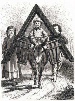 Letter A: Animal, Donkey, 1868 (engraving)