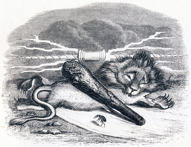 The man and the flea (L'homme et la puce) - Fables by La Fontaine, 19th century (engraving)