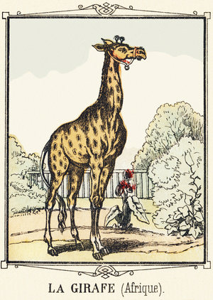 The girafe. In "Alphabet des petits garcons" late 19th century (Epinal print)