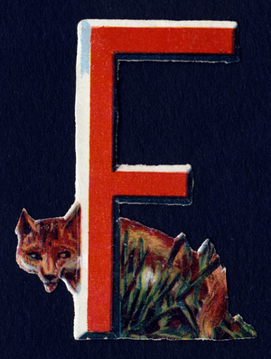 F like Fox. Adecedaire in decoupis on the theme of animals. Engraving. Series of 26 waffle chromolithographs of English origin. Editor and illustrator unknown. End of the 19th century. Dim: 5,5x3,5cm