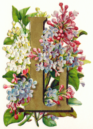 L : Lilas -  Flowers and Landscapes Alphabet in "decoupis", end of 19th century (chromolithograph)