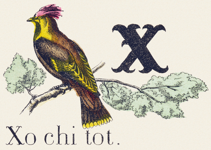 X : Xochitot - Alphabet of the wild animals, 1876 (engraving)