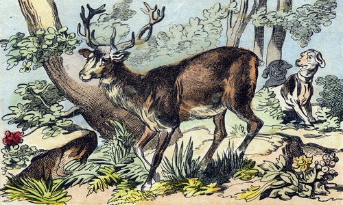 The deer,  in “Buffon Alphabet des Animaux" , late 19th century (Epinal print)