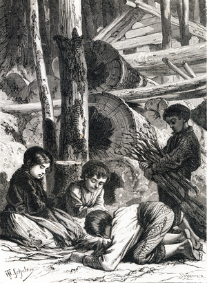 Letter B: Wood, Ember, Wood, 1868 (engraving)