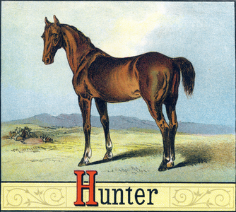 Letter H: Hunter (Horse uses for fox hunting) - “Picture Alphabet of Horses and Dogs” 1887 (lithograph)