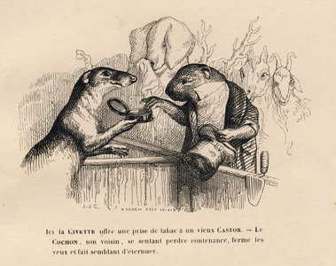 Une civette offre une prise de tabac a un vieux castor, le cochon derriere lui tente de se contenir. Vignettes illustrees par JJ Granville . Gravure signee Andrew Best et Leloir dans le prologue intitule "Resume parlementaire" ecrit par PJ Stahl in "Scenes de la vie privee et publique des animaux". Paris, J. Hetzel et Paulin, 1842. Etudes de moeurs contemporaines publiees sous la direction de P.-J. Stahl