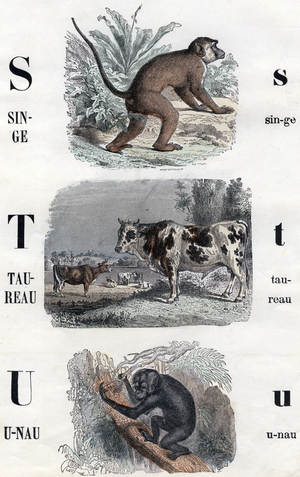 Illustration for "Alphabet Buffon", 1911 (engraving)