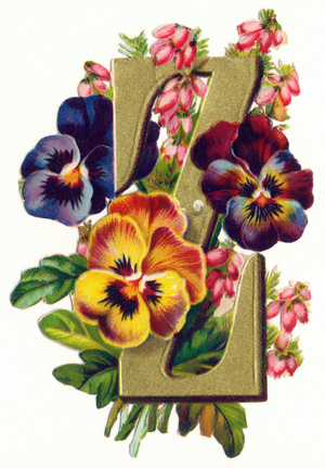 Z : Pensees et fleurs de bruyere - Flowers and Landscapes Alphabet in "decoupis", end of 19th century (chromolithograph)