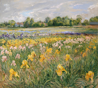 Cottages and Iris Field (oil on canvas)