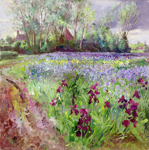 Iris Field, Storm Gathering, 1991