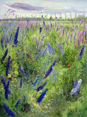 Delphiniums and Emerging Sun