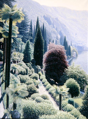 A Summer Haze over Monastero Gardens, Lake Como, 2006 (oil on linen)