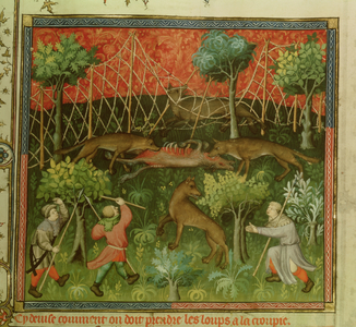 Ms Fr 616 fol.111 Wolf hunt with the aid of nets, from the 'Livre de la Chasse' by Gaston Phebus de Foix (1331-91) (vellum)