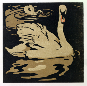 The Beautiful Swan, illustration from 'The Square Book of Animals', published by William Heinemann, 1899 (hand-coloured woodblock print)
