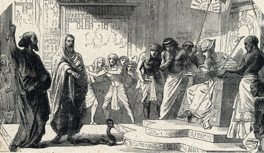 Aaron's Staff Becomes a Snake. 19th century (engraving from 'Holy History' by Lahure)