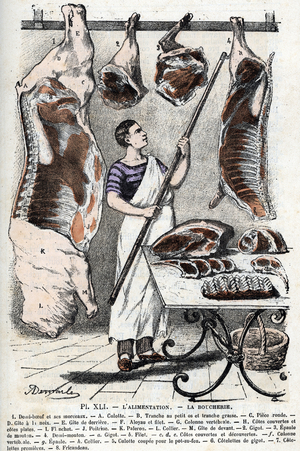A butcher's shop, the butcher and the various pieces of meat, 1 half-muef and its pieces: A panty B Slice with small bone C piece round D gite with walnut E tail tail F Aloyau and fillet G Vertebral column H sides covered and flat sides I Flank J Chest K paleron L necklace M front gite 2 Leg 3 Sheep Shoulder (The butcher and the various pieces of beef and mutton) Engraving from “The Needs of Life” by Rengade, 1887 Private collection