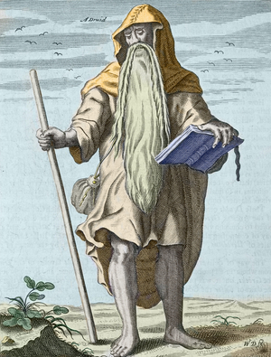 Druid, Celtic priest, 1676 (engraving)