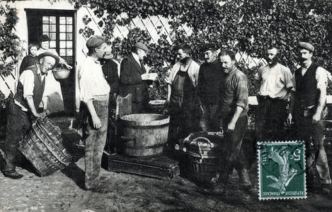 Champagne harvest: the grapes weighing, postcard 1910