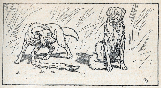Illustration for White Fang written by Jack London, 1932