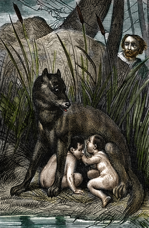 The legendary wolf collects the twins Remus and Romulus, found on the banks of the Tiber (Rome, Italy). 19th century (engraving)