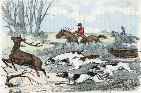La pratique de la chasse a courre dans la haute societe, sport (hunting with hounds in the high society) Engraving from “” Les besoins de la vie”” by Rengade, 1887 Collection privee Â