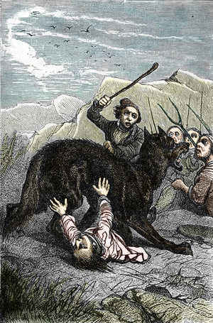 Representation of the Bete du Gevaudan attacking a man, 1765 (Beast of Gevaudan attacking a man, 1765) Engraving from “Les animaux historiques” by Fournier, 1884 Collection privee