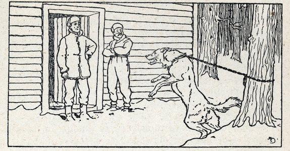 Illustration for White Fang written by Jack London, 1932