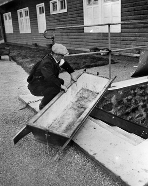 Camp du Struthof-Natzwiller (near Schirmeck) Alsace France beginning 1945 - A French resistance in front of the “coffin”” stain of the blood of the dead who were transported to the crematorium room - The camp was released empty of occupants by the 6th US Armees Corps on November 23, 1944