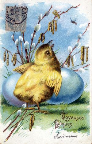 Greeting Card for Easter: a chick and eggs - Postcard dated 1906