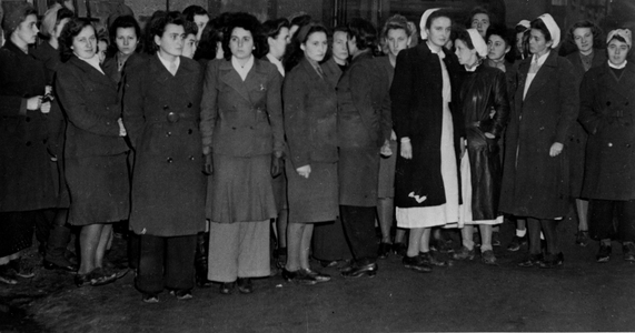 Second World War: Strasbourg (Alsace) France 23-24 November 1944 - During the liberation of the Alsatian capital by the 2nd French DB, many nurses and female staff were captured - photography