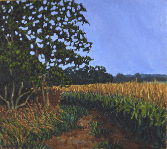 Cornfield (oil on canvas)
