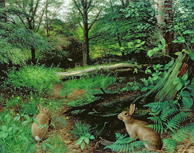 In the Woods - A Midsummer Evening (oil on board)
